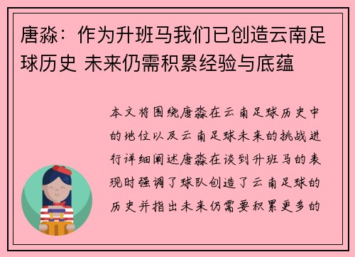 唐淼：作为升班马我们已创造云南足球历史 未来仍需积累经验与底蕴